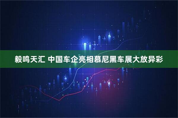 毅鸣天汇 中国车企亮相慕尼黑车展大放异彩