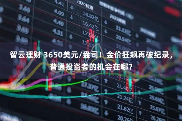 智云理财 3650美元/盎司！金价狂飙再破纪录，普通投资者的机会在哪？