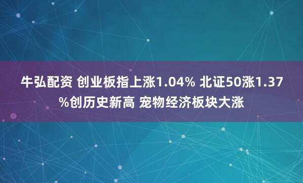 牛弘配资 创业板指上涨1.04% 北证50涨1.37%创历史新高 宠物经济板块大涨
