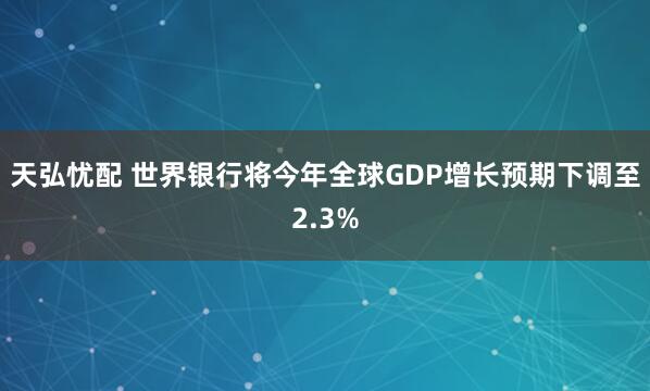 天弘忧配 世界银行将今年全球GDP增长预期下调至2.3%