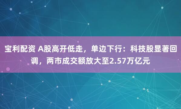 宝利配资 A股高开低走，单边下行：科技股显著回调，两市成交额放大至2.57万亿元