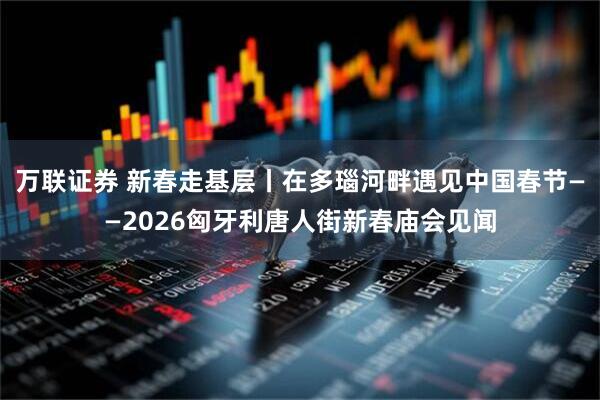 万联证券 新春走基层丨在多瑙河畔遇见中国春节——2026匈牙利唐人街新春庙会见闻